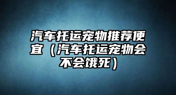 汽車托運寵物推薦便宜（汽車托運寵物會不會餓死）