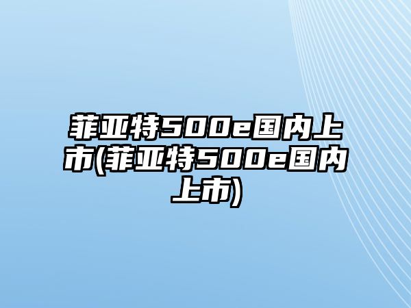 菲亞特500e國內上市(菲亞特500e國內上市)