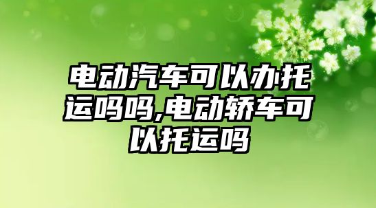 電動汽車可以辦托運嗎嗎,電動轎車可以托運嗎