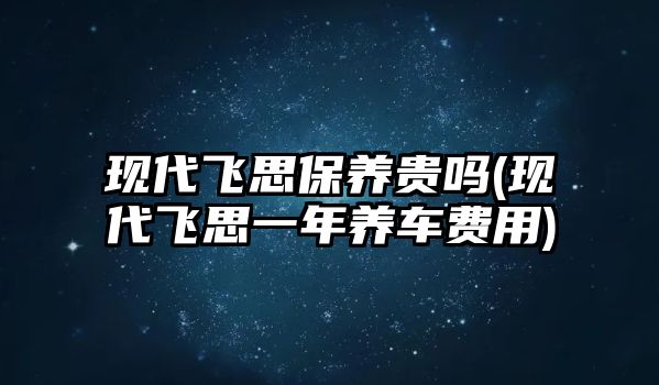 現代飛思保養貴嗎(現代飛思一年養車費用)