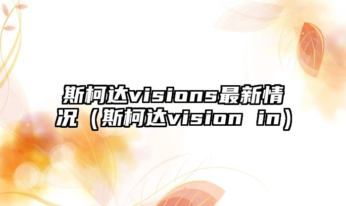 斯柯達visions最新情況（斯柯達vision in）