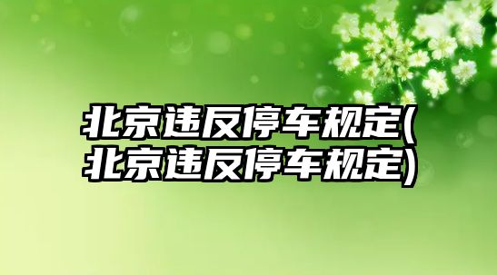 北京違反停車規定(北京違反停車規定)