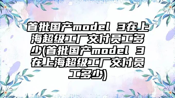 首批國產model 3在上海超級工廠交付員工多少(首批國產model 3在上海超級工廠交付員工多少)