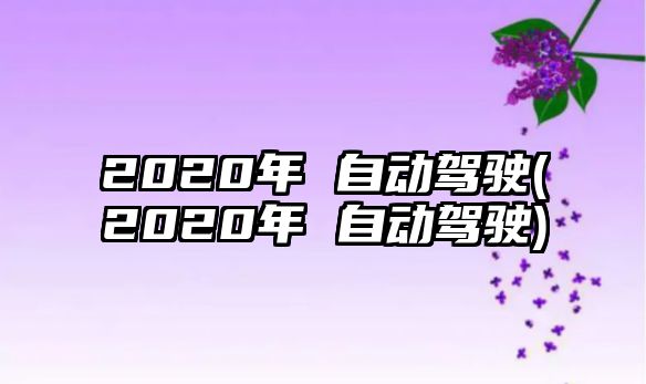 2020年 自動駕駛(2020年 自動駕駛)