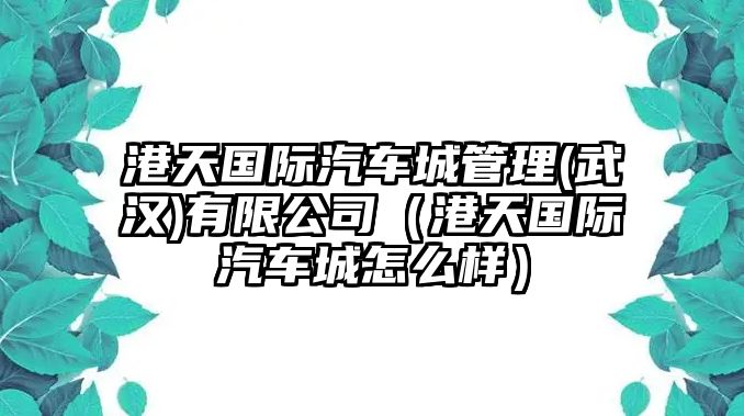 港天國際汽車城管理(武漢)有限公司（港天國際汽車城怎么樣）