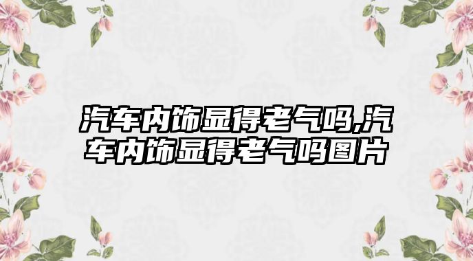 汽車內飾顯得老氣嗎,汽車內飾顯得老氣嗎圖片