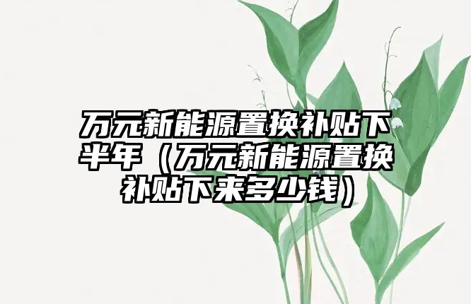 萬元新能源置換補貼下半年（萬元新能源置換補貼下來多少錢）