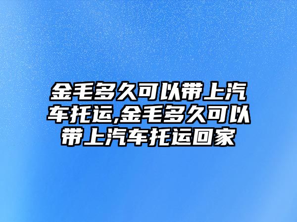 金毛多久可以帶上汽車托運,金毛多久可以帶上汽車托運回家