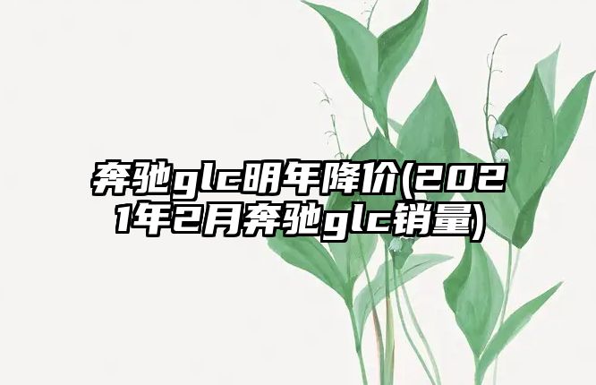 奔馳glc明年降價(2021年2月奔馳glc銷量)