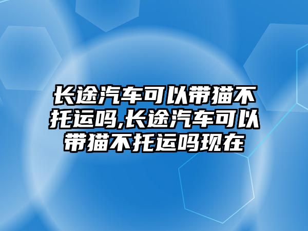 長途汽車可以帶貓不托運嗎,長途汽車可以帶貓不托運嗎現(xiàn)在