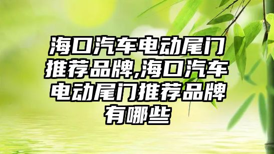 海口汽車電動尾門推薦品牌,海口汽車電動尾門推薦品牌有哪些