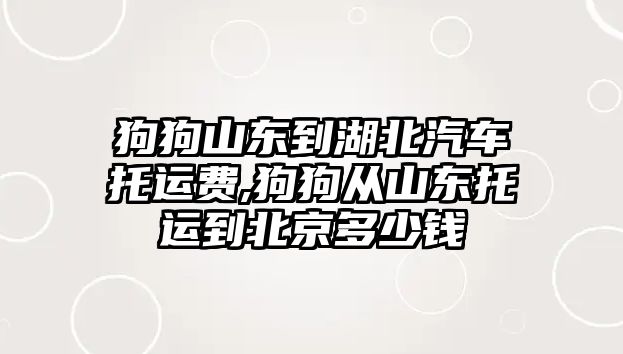 狗狗山東到湖北汽車托運費,狗狗從山東托運到北京多少錢