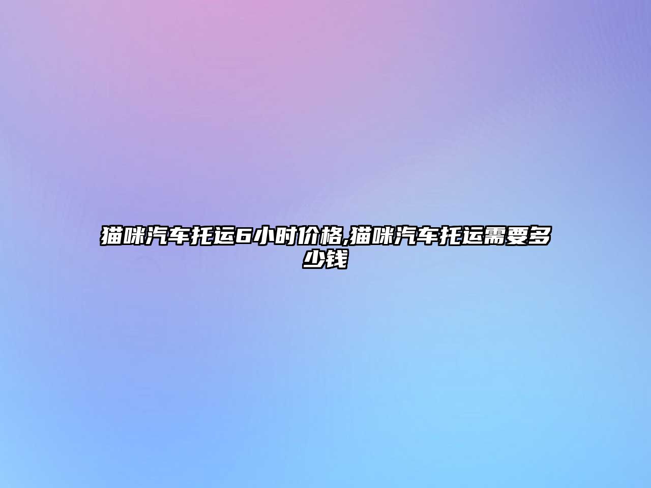 貓咪汽車托運6小時價格,貓咪汽車托運需要多少錢