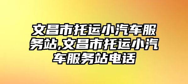 文昌市托運小汽車服務站,文昌市托運小汽車服務站電話