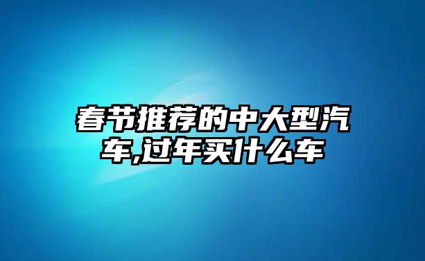 春節(jié)推薦的中大型汽車,過(guò)年買什么車