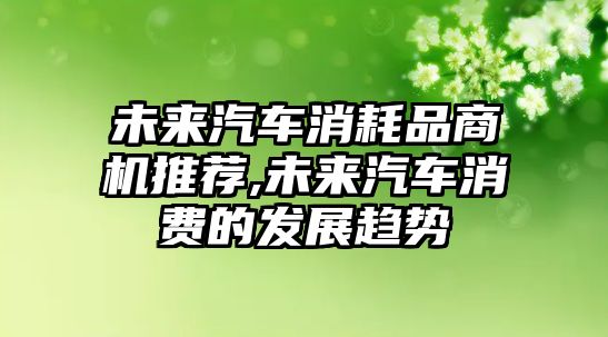 未來汽車消耗品商機推薦,未來汽車消費的發展趨勢