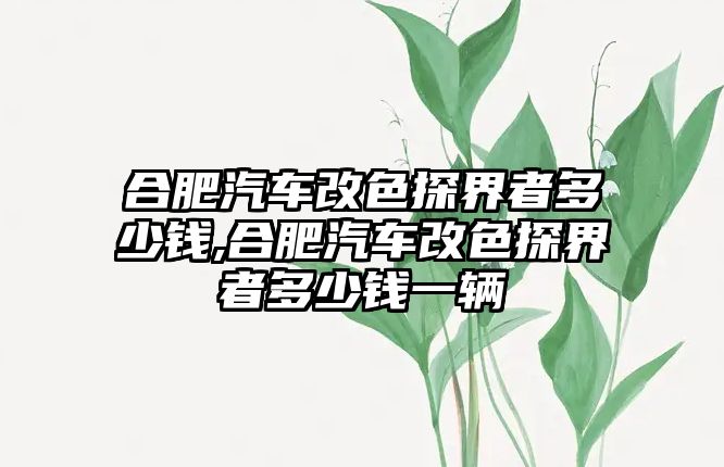 合肥汽車改色探界者多少錢,合肥汽車改色探界者多少錢一輛