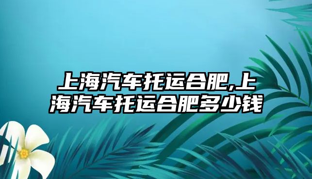 上海汽車托運合肥,上海汽車托運合肥多少錢