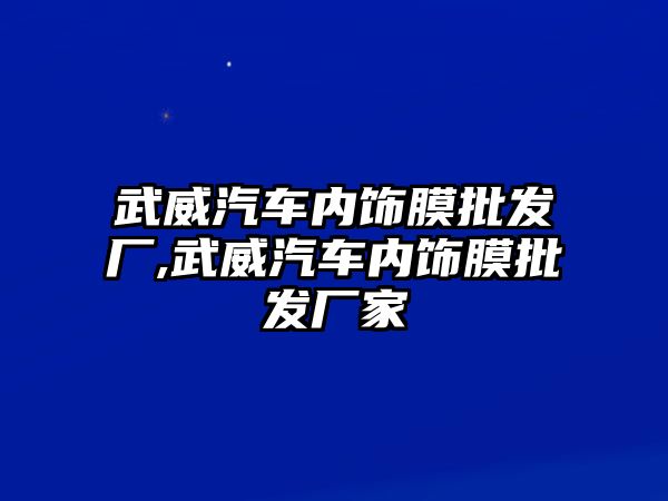 武威汽車內飾膜批發廠,武威汽車內飾膜批發廠家