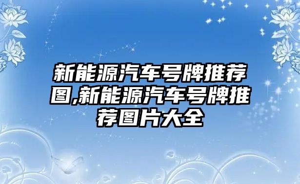 新能源汽車號(hào)牌推薦圖,新能源汽車號(hào)牌推薦圖片大全