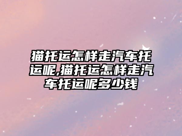 貓托運怎樣走汽車托運呢,貓托運怎樣走汽車托運呢多少錢