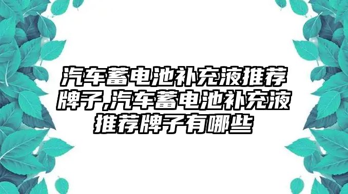 汽車蓄電池補充液推薦牌子,汽車蓄電池補充液推薦牌子有哪些