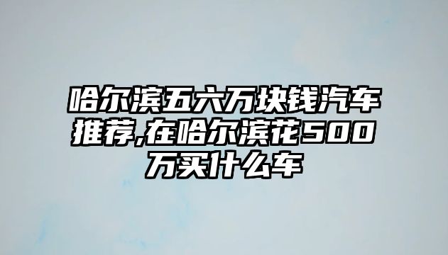 哈爾濱五六萬塊錢汽車推薦,在哈爾濱花500萬買什么車