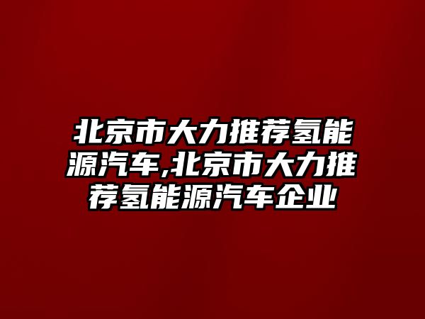 北京市大力推薦氫能源汽車,北京市大力推薦氫能源汽車企業(yè)