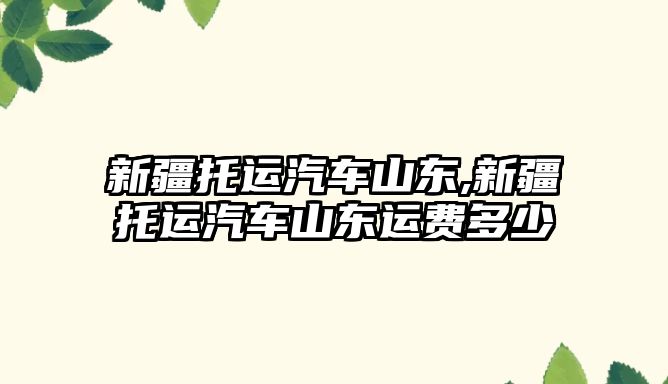 新疆托運汽車山東,新疆托運汽車山東運費多少