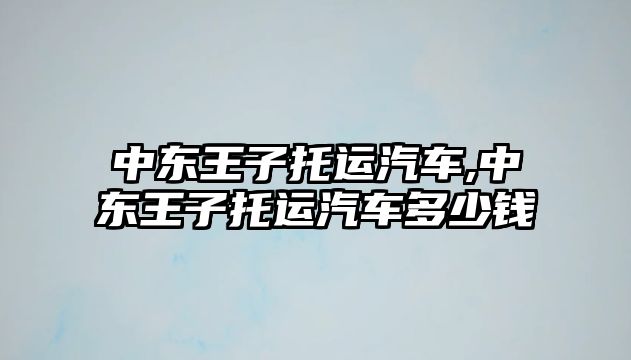 中東王子托運汽車,中東王子托運汽車多少錢