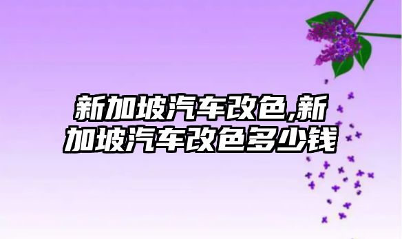 新加坡汽車改色,新加坡汽車改色多少錢