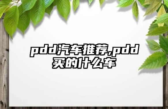 pdd汽車推薦,pdd買的什么車