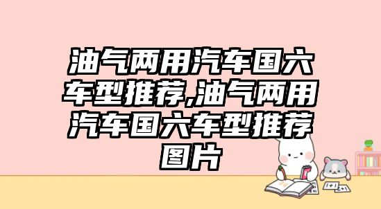 油氣兩用汽車國六車型推薦,油氣兩用汽車國六車型推薦圖片