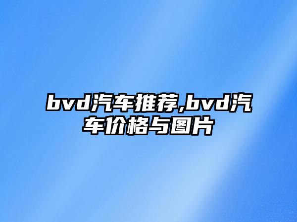 bvd汽車推薦,bvd汽車價格與圖片