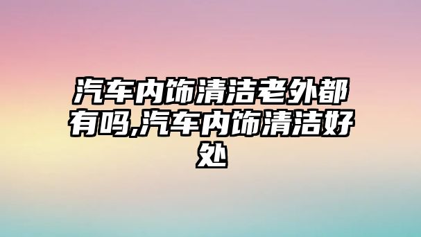 汽車內飾清潔老外都有嗎,汽車內飾清潔好處