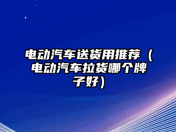 電動汽車送貨用推薦（電動汽車拉貨哪個牌子好）