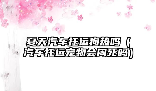 夏天汽車托運狗熱嗎（汽車托運寵物會悶死嗎）